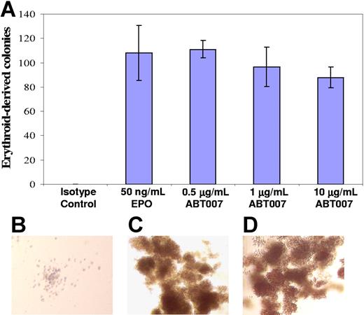 Figure 2. ABT007 stimulates formation of transgenic mouse erythroid colonies. (A) ABT007 supports the growth of erythroid colonies from bone marrow cells of transgenic mice. Error bars represent SD calculated from the average of duplicate counts. Typical colonies, identified microscopically, are shown on the right for (B) the isotype control–, (C) EPO-, and (D) ABT007-treated cells. The colonies were red in color. All images are at the same magnification.