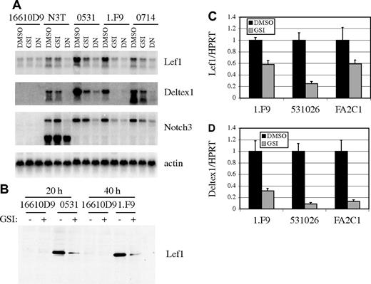 Figure 2. Lef1 expression is dependent on Notch signaling. (A) Northern blot of RNA isolated from the p53−/− lymphoma line 16610D9 (which does not have active Notch signaling), N3T, and E2A−/− lymphoma lines 0531, 1.F9, and 0714 (which have active Notch signaling) 24 hours after treatment with DMSO or GSI or 48 hours after infection with MigR1-DN-MAML (DN). (B) Western blot of 16610D9, 0531, or 1.F9 cells 20 or 40 hours after treatment with DMSO (−) or GSI (+) using Lef1-specific antibody. Relative expression of Lef1 (C) or Deltex1 (D) in the E2A−/− lymphoma 1.F9, the E2A−/−Rag2−/− lymphoma 531026, and the p53−/− lymphoma K052FA2C1 (FA2C1) cultured in DMSO or GSI for 24 hours. Expression was determined by QPCR and standardized to HPRT. Error bars represent the standard error of triplicate measurements.