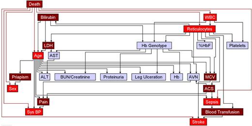 Figure 1. The network of associations between death, clinical complications, and laboratory findings in sickle cell disease. The arc (arrow) direction specifies the conditional probability tables that are sufficient to compute the overall distribution. Colored in red are the nodes that alone are sufficient to predict the risk for death (severity score). Nodes in blue are associated with predictive nodes in red. For example, the Hb genotype is associated with several laboratory variables including WBC and LDH and thus modulates disease severity indirectly through these nodes. See Tables 3,4. ACS indicates acute chest syndrome; AVN, avascular necrosis; BUN/creatinine, ratio of BUN to creatinine; Sys BP, systolic blood pressure; Hb, total hemoglobin concentration; %HbF, percentage of fetal hemoglobin; WBC, leukocyte count; Hb genotype, sickle cell anemia, sickle cell anemia-α thalassemia, HbSC disease.