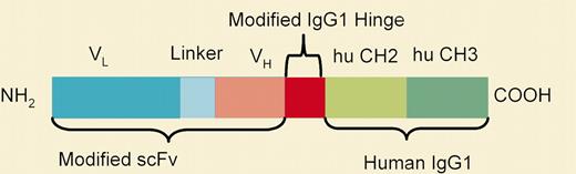Schematic diagram of an SMIP. See the complete figure in the article beginning on page 2569.
