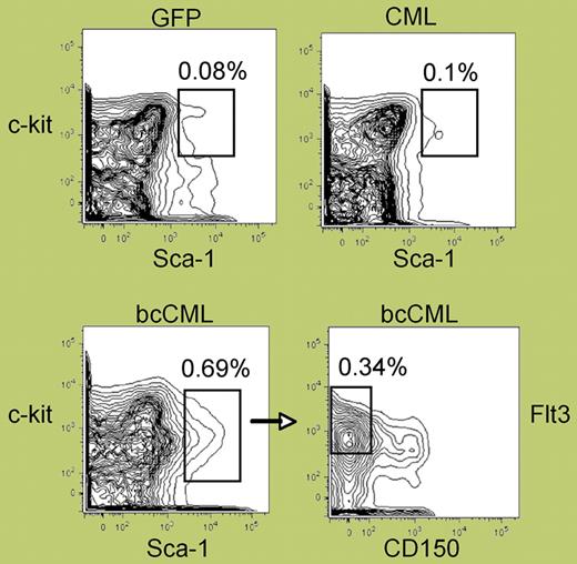 Phenotypic analysis of normal versus leukemic stem cell populations. See the complete figure in the article beginning on page 2578.