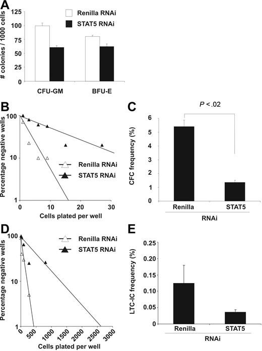 Figure 3. Knockdown of STAT5 reduces CFC and LTC-IC frequencies of CB CD34+ cells. (A) CFU-GM and BFU-E assays with control and STAT5-transduced CB cells. Assays were performed 3 times in duplicate under conditions indicated in “CFC, CFU-GM, BFU-E, and LTC-IC assays.” Error bars denote standard deviations. (B) Limiting-dilution CFC assay performed as described in “CFC, CFU-FM, BFU-E, and LTC-IC assays.” Poisson statistics were used to calculate CFC progenitor frequencies. N = 3; a representative experiment is shown. (C) Percentage of CFC progenitors as calculated from the limiting-dilution assays. The average of 3 experiments is shown, with error bars representing standard deviations. A Student t test was performed to calculate statistical differences between the 2 groups. (D) Limiting-dilution LTC-IC assay performed as described in “CFC, CFU-GM, BFU-E, and LTC-IC assays.” Poisson statistics were used to calculate LTC-IC frequencies. N = 3; a representative experiment is shown. (E) The average percentage of LTC-IC cells as calculated from the limiting-dilution experiment shown in D. N = 3; error bars denote standard errors.