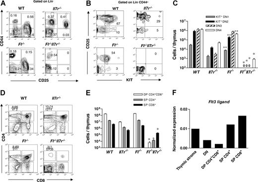 Figure 3. Loss of early thymic progenitors in adult mice double deficient in Fl and Il7r expression. (A) Thymocytes from 8- to 10-week-old mice were stained with antibodies against CD3, CD4, CD8, Mac-1, Gr-1, Ter119 and B220 (Lin), CD44, CD25, and KIT to establish relative distribution of DN1-DN4 stage thymocytes. Representative FACS profiles of CD44 and CD25 expression within Lin− gate of each mouse genotype. Numbers in quadrants show mean percentages of total thymocytes in 6 to 7 mice. (B) Representative FACS profiles of KIT and CD25 expression within DN1 and DN2 thymic progenitors (gated within Lin−CD44+ cells) of each mouse genotype. Numbers show mean percentage of DN1 and DN2 cells expressing KIT. (C) Total number of all DN thymic subsets per thymus. Data represent mean (SD) values of 6 to 7 age-matched mice of each genotype. 0 indicates undetectable levels. *P < .01 comparing Il7r−/− and Fl−/−Il7r−/− mice; **P < .01 comparing Fl−/− and WT mice. (D) Representative FACS profiles of CD4 and CD8 expression in the thymus of each mouse genotype (numbers in quadrants show mean percentages of total thymocytes in 6–8 mice). (E) Total number of DP and SP thymocytes per thymus. Data represent mean (SD) values of 6 to 8 age-matched mice of each genotype. *P < .01 comparing Il7r−/− and Fl−/−Il7r−/− mice. (F) FL expression in FACS-sorted thymic stromal cells, DN, DP, and SP thymocytes as measured with quantitative PCR. Data (normalized to the expression of β-actin) from one experiment in which thymuses from 4 WT mice were pooled.