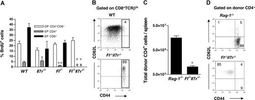 Figure 4. Reduced thymocyte proliferation and impaired peripheral homeostatic CD4 T-cell proliferation in adult mice double deficient in Fl and Il7r expression. (A) Mice were injected with BrdU and after 12 hours proportion of BrdU incorporating SP CD4+, SP CD8+, and DP CD4+CD8+ thymocytes was determined. Data represent mean (SD) values of 6 to 8 age-matched mice of each genotype (2 thymi pooled in 3 replicate analyses). *P < .01 comparing Il7r−/− and Fl−/−Il7r−/− mice; **P < .01 comparing Fl−/− and WT mice. (B) Representative FACS profiles of CD44 and CD62L expression within SP CD8+ TCRβhi thymocytes (gated on viable CD8+CD4− TCRβhi) with frequency of activated/memory (CD44+) T cells indicated by gate (numbers show mean percentages of 5–8 mice of each genotype). (C,D) Nonirradiated 15-week-old Rag-1−/− and Fl−/−Il7r−/− mice (CD45.2) received a transplant of 0.5 × 106 FACS-purified naive CD4+CD44low T cells from 8- to 10-week-old WT CD45.1 mice, and 14 to 17 days after transfer the total number of donor-derived CD4+ T cells was established (C). (D) Representative FACS profiles of CD44 and CD62L expression within donor-derived CD4+ cells at 14 to 17 days after transfer (gated on viable donor CD4+ cells). Data represent mean (SD) values of 7 age-matched mice of each genotype. *P < .01.