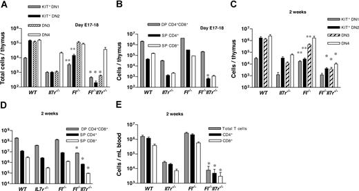 Figure 6. Early thymic progenitors are reduced but present in Fl−/−Il7r−/− mice during fetal and early postnatal stages of development. Total thymic cellularity was determined in 17- to 18-day-old fetuses and in 2-week-old WT, Il7r−/−, Fl−/−, and Fl−/−Il7r−/− mice. (A) Total number of DN1-DN4 populations per thymus of 17- to 18-day fetuses. (B) Total number of DP and SP cells per thymus of 17- to 18-day fetuses. (C) Total number of DN1-DN4 populations per thymus of 2-week-old mice. (D) Total number of DP and SP cells per thymus of 2-week-old mice. (E) Total, CD4, and CD8 T cells in peripheral blood of 2-week-old mice. All data represent mean (SD) values of 7 to 16 fetuses from at least 2 different litters of each genotype or 8 to 18 2-week-old mice (pooled for analysis in 2-6 replicates). *P < .01 comparing Il7r−/− and Fl−/−Il7r−/− mice; **P < .01 comparing WT and Fl−/− mice.