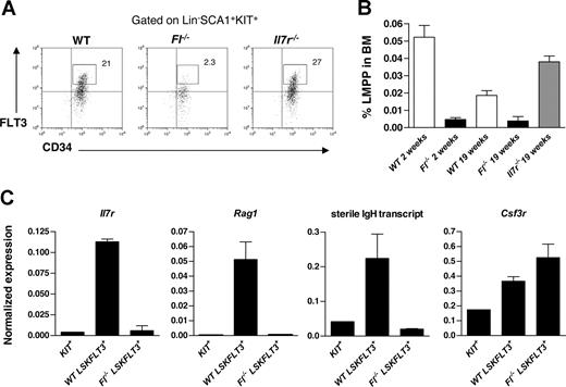 Figure 7. Role of FLT3 in regulation of multipotent lymphoid-primed progenitors. BM cells from 2- and 19-week-old WT, Fl−/−, and Il7r−/− mice were stained with antibodies against lineage-specific antigens (Lin), KIT, CD34, SCA1, and FLT3. Lymphoid-primed multipotent progenitors (LMPPs) in WT mice were identified as the Lin−SCA1+ KIT+ cells with the highest 25% of FLT3 expression, as previously described.15 (A) Representative FACS profiles of each genotype of 19-week-old mice with gates for LMPPs set based on analysis in WT mice (numbers indicate mean percentages of total LSK cells, from 4-6 mice). (B) Frequencies of LMPPs per total BM cells (2 femora and 2 tibiae) in age-matched 2- and 19-week-old WT, Fl−/−, and Il7r−/− mice. Data represent mean (SD) values of 4 to 6 age-matched mice of each genotype. (C) Quantitative PCR data of indicated genes in FACS-sorted LSKFLT3+ cells from WT and Fl−/− mice. LSKFLT3+ cells were sorted as LSKFLT3hi LMPPs in the case of WT mice as indicated in panel A, whereas for Fl−/− mice the 25% highest FLT3-expressing LSK cells were sorted. Lin−KIT+ BM cells (representing predominantly different lineage-committed progenitors) were used as controls. Data (normalized to the expression of HPRT) are mean (SD) values from 2 independent experiments, each performed in triplicates.
