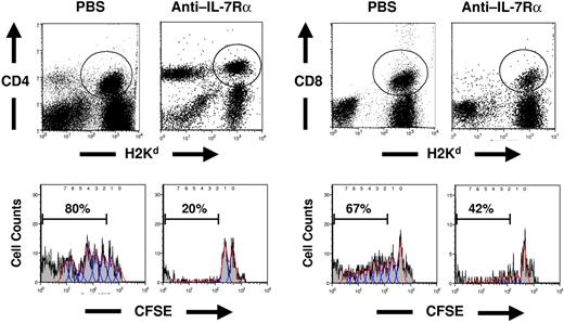 Figure 5. Administration of anti–IL-7Rα antibody results in decreased proliferation of donor-derived T cells. A total of 1 × 106 TCD BM and 4 × 106 CFSE-labeled LN cells from allogeneic BALB/c donors were transplanted into lethally irradiated B6 recipients. At day 10, the frequency of proliferating CFSE-labeled allogeneic donor-derived (H2kd-positive) CD4 and CD8 T cells in LN (to the left of the indicated bar) of the anti–IL-7Rα antibody-treated allogeneic BMT and LN recipients was less than that of the PBS-treated recipients.