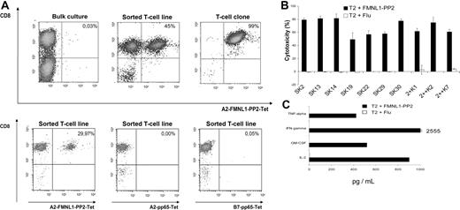 Figure 2. Isolation of allorestricted FMNL1-specific T cells. (A) FMNL1-PP2–specific CD8+ T cells in bulk cultures after 2 stimulations with peptide-pulsed T2 cells, in sorted T-cell lines and in T cells cloned by limiting dilution, were detected by flow cytometry using anti-CD8 monoclonal antibodies and FMNL1-PP2–specific HLA-A2 tetramers. The numbers in the fluorescence-activated cell sorting (FACS) plot represent percentage of cells in that quadrant. As control, staining with HLA-A2 and HLA-B7 pp65-specific tetramers was performed. (B) Peptide recognition of cloned T cells was investigated using T2 cells pulsed with FMNL1-PP2 (■) and T2 cells pulsed with Flu (□) by 51Cr-release assay at an effector-target ratio of 7.5:1. Error bars indicate standard deviation of tested duplicates. (C) Cytokine secretion of the FMNL1-PP2–specific T-cell clone SK22 was investigated in response to T2 cells pulsed with the peptide FMNL1-PP2 (■) and pulsed with the Flu peptide (□) at an effector-target ratio of 1:5. Culture supernatants were harvested after 24 hours and assessed by BioPlex multicytokine analysis.