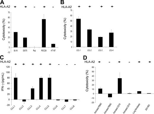 Figure 4. Specific recognition of natural targets by the FMNL1-PP2–specific T-cell clone. The FMNL1-PP2–specific T-cell clone was tested against the HLA-A2+ lymphoma cell lines BJ18 and DG75; the HLA-A2− lymphoma cell line Raji; the HLA-A2+ renal cell carcinoma cell line RCC26; the HLA-A2− renal cell carcinoma cell line KT187 (A); and HLA-A2+ EBV-transformed cell lines (B), in a 51Cr-release assay at an effector-target ratio of 7.5:1. Error bars indicate the standard deviation of tested duplicates. Results shown are representative of at least 3 experiments. (C) IFN-γ release was investigated by ELISA to test the FMNL1-PP2–specific T-cell clone against CD40L-activated CLL cells (HLA-A2+ and HLA-A2−) at an effector-target ratio of 1:2. Error bars indicate the standard deviation of tested triplicates. (D) PBMCs (HLA-A2+ and HLA-A2−) activated with IL-2 and OKT3, CD19+ B cells (HLA-A2+ and HLA-A2−) stimulated with CD40L, as well as HLA-A2+ lung fibroblasts and HLA-A2+ embryonal kidney cells (293 HEK) were used as target cells for the FMNL1-PP2–specific T-cell clone in a 51Cr-release assay at an effector-target ratio of 7.5:1. Error bars indicate the standard deviation of tested duplicates. Results shown are representative of 5 experiments.