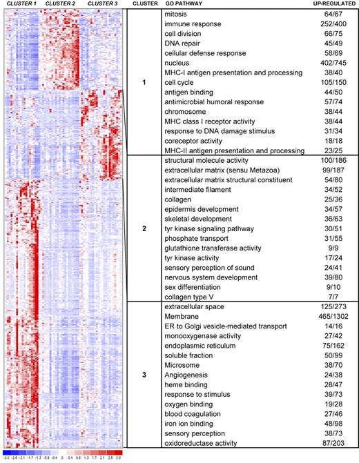 Figure 4. Hierarchical clustering heat map. This heat map shows partitioning of 63 samples and the top 593 genes with P values less than or equal to .025 and fold change greater than or equal to 2. The chart shows the top 15 GO terms for each cluster, ranked by FDR. Each GO term is accompanied by the number of up-regulated genes/the total number of genes included in the test group. All included GO terms have P values less than or equal to .05 and FDR less than or equal to .05.