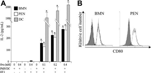 Figure 3. Neutrophils cross-prime naive CD8+ T cells in vitro. (A) BMNs, PENs, and DCs were pulsed with or without the indicated concentrations of Ova. After 2 hours (BMNs, ■), 4 hours (PENs, □), or 8 hours (DCs, ▧), cells were washed and cultured with highly purified naive OT1 CD8+ T cells at a stimulator-responder cell ratio of 2:1. After 24 hours, IL-2 was quantified in the supernatants by ELISA. Results are expressed in pg/mL as mean (± SD) of 3 separate experiments. Mann-Whitney test was performed. The data were statistically significant for DCs and PMNs (*P < .03) when compared with controls. (B) Analysis by FACS of CD80 expression by BMNs and PENs using FITC-labeled anti-CD80 mAb (white histograms); gray histograms correspond to isotype control mAbs.