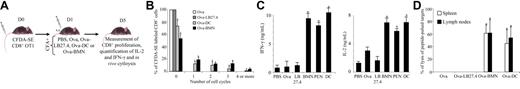 Figure 7. Ovalbumin-pulsed neutrophils injected via subcutaneous route induce naive CD8+ T-cell differentiation into effector cells. (A) CFDA-SE–labeled or unlabeled OT1 CD8+ T cells were adoptively transferred into β2-microglobulin−/− mice. One day later, mice were injected subcutaneously with CFA plus PBS, Ova, Ova-pulsed LB27.4, Ova-pulsed BMNs, or Ova-pulsed DCs and OT1 activation was measured at day 5. (B) OT1 CD8+ T-cell proliferation was expressed as the percentage of CD8+ T cells in each cycle (mean ± SD of 3 separate experiments). ANOVA test was performed. The data were statistically significant for DCs and PMNs (*P < .001) when compared with controls. (C) At day 5, IFN-γ and IL-2 production was determined by ELISA 24 hours after in vitro restimulation. Results are expressed in ng/mL as mean (± SD) of 3 separate experiments. Mann-Whitney test was performed. The data were statistically significant for BMNs, PENs, and DCs (*P < .03) when compared with controls. (D) In vivo cytolysis assays were performed by injecting 3 × 106 unpulsed CFDA-SElow–labeled splenocytes and 3 × 106 CFDA-SEhigh–labeled SIINFEKL-pulsed splenocytes. Three hours later, CDFA-SE expression was analyzed by FACS in spleen and lymph nodes. Percentage of lysis was calculated as described in “In vivo cytolysis assay.” Data are presented as a percentage of lysis of peptide-pulsed targets of 3 separate experiments (mean ± SD). The data were statistically significant for DCs and PMNs when compared with controls (ANOVA test, *P < .001).