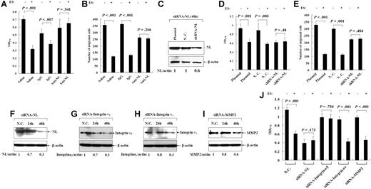Figure 3. Nucleolin mediates the antiendothelial activities of endostatin. (A-B) In the presence or absence of ES (10 μg/mL), HMEC proliferation assay (n = 6) and migration assay (n = 5) were performed with saline (control), nonimmune IgG (40 μg/mL), or anti-NL antibody (40 μg/mL), respectively. The cell number in proliferation assay was evaluated by MTT assay. (C) HMECs were transfected with blank plasmid, negative control (NC, vector encoding scrambled shRNA), and shRNA-NL plasmid, respectively. The NL expression of transfected HMECs was detected by IB. Actin blot serves as loading control. Densitometry analysis of IBs showed the relative expression level (NL/actin). (D,E) In the presence or absence of ES (10 μg/mL), cell proliferation assay (n = 6) and migration assay (n = 5) were performed with HMECs transfected with blank plasmid, NC, and shRNA-NL plasmid, respectively. After 48 hours, the cell number in proliferation assay was evaluated by MTT assay. (F-I) HMECs were transfected with siRNA-NL, siRNA-integrin α5, siRNA-integrin αv, and siRNA-MMP2, respectively. A scrambled siRNA serves as negative control (NC). The expression of NL, integrin α5, siRNA-integrin αv, and siRNA-MMP2 were detected by IB with indicated antibodies, respectively. Actin blot serves as loading control. Densitometry analysis of IBs showed the relative expression level of target proteins. (J) In the presence or absence of ES (10 μg/mL), cell proliferation assay was performed with HMECs transfected with NC, siRNA-NL, siRNA-integrin α5, siRNA-integrin αv, and siRNA-MMP2, respectively. After 48 hours, the cell number was evaluated by MTT assay (n = 6). Error bars are SD.