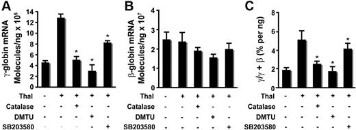 Figure 6. Thalidomide-induced γ-globin expression requires enhanced ROS and mediated p38 MAPK activation. CD34+ cells grown in EPO medium for 6 days were treated with 100 μM thalidomide in the presence or absence of the antioxidants catalase (4000 U/mL) or DMTU (10 mM) or the p38 MAPK inhibitor SB203580 (5 μM) from days 6 to 14. RNA extracted from cells harvested on day 14 was amplified by quantitative PCR to determine γ- and β-globin expression levels. (A) Average copy number of γ-globin molecules per 1 ng total RNA. (B) Average copy number of β-globin molecules per 1 ng total RNA. (C) Average ratio of γ/γ + β-globin percentages. Results are shown as means (± SD) from 3 independent donors that were analyzed in separate experiments. *P < .05 versus untreated cells.