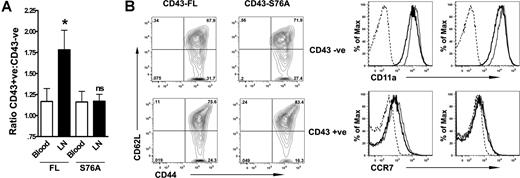 Figure 5. Expression of CD43-FL but not CD43-Ser76Ala rescues the trafficking defect in CD43−/− T cells. (A) Resting DO.CD43−/− T cells transduced with either CD43-FL or CD43-Ser76Ala were individually injected intravenously into naive BALB/c recipients (FL, n = 11; Ser76Ala, n = 13). Blood and lymph nodes were harvested after 16 hours and analyzed for ratio of CD43+ (transduced) to CD43− (untransduced) cells within the CD4+KJ+ population. The bar graph represents the mean (± SEM) of the ratio of CD43+ to CD43− CD4 T cells in various organs. Data are combined from 3 independent experiments (*P < .05; ns = not significant). (B) Surface expression (MFI) of CD62L, CD44, CD11a, and CCR7 was analyzed on DO.CD43−/− T cells transduced with either CD43-FL (left panels) or CD43-Ser76Ala (right panels) by flow cytometry. For histograms, dotted lines represent unstained samples; solid black lines represent CD43+ (transduced) populations, while solid gray lines represent CD43− (untransduced) populations.