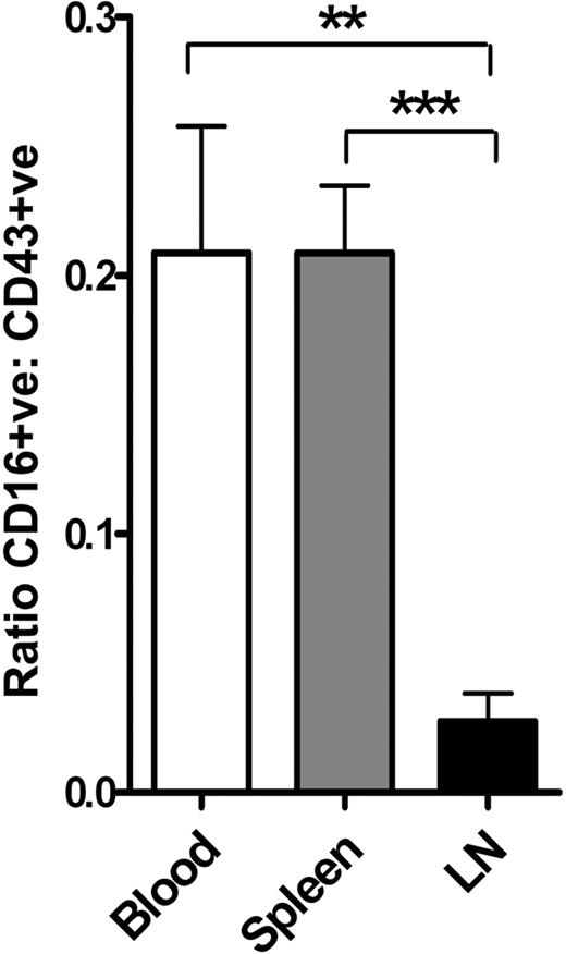 Figure 6. The CD43 extracellular domain is required for T-cell trafficking to lymph nodes. Resting DO.CD43−/− T cells transduced with either CD43-FL or CD16–7-43 were mixed in equal numbers and injected into BALB/c mice (n = 8). After 16 hours, the frequency of donor CD43+ or CD16+ CD4 T cells were enumerated in the blood, spleen, and lymph nodes. Data are the mean (± SEM) of the ratio of the frequencies of CD16+ to CD43+ CD4 T cells in various organs. Data shown are representative of 2 independent experiments with at least 8 mice each. (**P < .01; ***P < .001).
