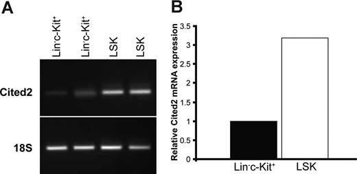 Figure 1. Cited2 is expressed in Lin−c-Kit+, Lin−c-Kit+Sca-1+ (LSK) fetal liver cells. Fetal liver cells from 14.5 dpc were sorted for Lin−c-Kit+ and LSK subpopulations. Sorted cells were processed for mRNA expression of Cited2 by RT-PCR, and the expression was further quantified by real-time PCR with 18S as the internal control for verifying the presence of cDNA after reverse transcription and for quantification purposes. (A) Cited2 expression was detected in Lin−c-Kit+ and LSK cells. (B) Cited2 expression in LSK cells was approximately 3-fold higher than that in Lin−c-Kit+ cells. Two sets of independently sorted cells were performed in parallel for Cited2 mRNA expression analysis.