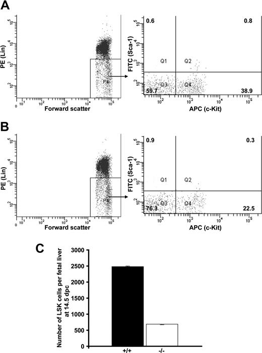 Figure 3. Reduced number of LSK cells in Cited2−/− fetal liver. Fetal liver cells from (A) Cited2+/+ littermate control (n = 5) and (B) Cited2−/− (n = 4) at 14.5 dpc were sorted as shown by the representative lineage and sorting gates (LSK cells were collected from Q2). Ten thousand counts were presented in panels A,B. The numbers within the quadrants represent the percentage of cells. The yield of LSK cells sorted from Q2 was too low to be reanalyzed. (C) The cumulative counts of LSK cells obtained by flow cytometer during the sorting procedure, which was compared between Cited2−/− and Cited2+/+ littermate control and revealed significant reduction in Cited2−/− fetal liver (P < .01; average ± SEM).