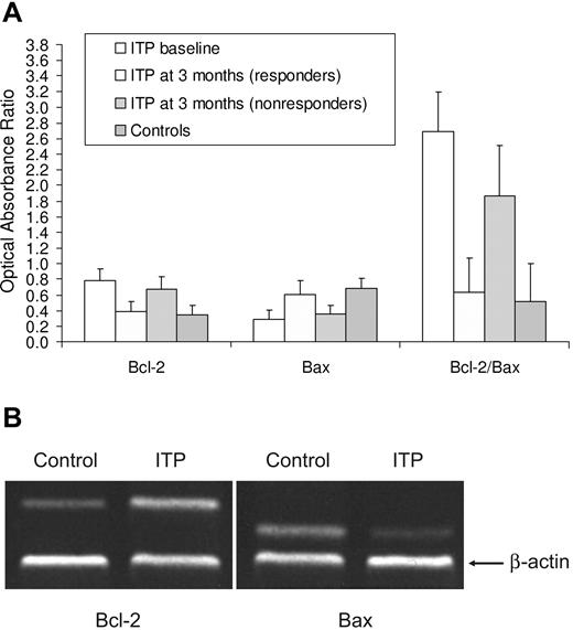 Figure 3. bcl-2 and bax gene expression in T cells. (A) Relative expressions of Bcl-2 and Bax mRNA in peripheral blood CD4+ T cells. In ITP patients at baseline, the expression of Bcl-2 mRNA in CD4+ T cells was higher (P = .003) and that of Bax mRNA was lower (P = .025) than in controls. The Bcl-2/Bax ratio was also significantly higher than in normal samples (P < .001). Patients and controls had similar expressions of Bcl-2 and Bax mRNAs in CD8+ T cells, indicated with the optical absorption ratio. Bcl-2 and Bax expressions were also not significantly different between responders and controls, whereas they were not substantially different from baseline in nonresponders. (B) Representative RT-PCR analysis for Bcl-2 and Bax on peripheral blood CD4+ T cells. Expression of Bcl-2 was on average increased and that of Bax reduced in ITP patients compared with controls. β-Actin was used as an internal control.