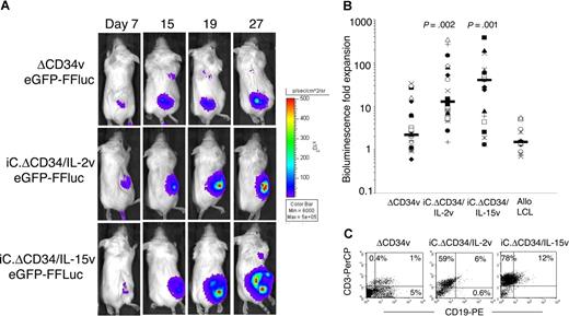 Figure 4. In vivo expansion of IL-2 and IL-15 transgenic CTLs. SCID mice engrafted with LCLs were injected with either EBV-CTLs control (ΔCD34v) or EBV-CTLs transgenic for IL-2 (iC.ΔCD34/IL-2v) or IL-15 (iC.ΔCD34/IL-15v) (107 cells). To track their homing and in vivo expansion, CTLs were transduced with the vector encoding eGFP-FFLuc. CTL localization and expansion were monitored using an in vivo imaging system (Xenogen-IVIS Imaging System). Mice did not receive exogenous cytokines after CTL transfer. Panel A shows images of representative mice. The signal intensity measured as photon/sec/cm2/sr (p/s/cm2/sr) was increased in mice receiving CTLs transgenic for IL-2 or IL-15 compared with control cells (ΔCD34v). Panel B illustrates the maximum increase in bioluminescence obtained in 20 mice per group. The expansion of iC.ΔCD34/IL-15v CTLs and iC.ΔCD34/IL-2v CTLs was statistically significant compared with control ΔCD34v (P < .001 and P < .002, respectively). IL-2 and IL-15 transgenic CTLs did not significantly expand in response to allogeneic EBV-LCLs. (C) To evaluate whether the increase in bioluminescence signal corresponded to an increased number of CTLs infiltrating the tumor, mice were euthanized and T-cell infiltration in the bioptic samples was measured using antihuman CD3 staining and FACS analysis (ΔCD34v = 3.8 × 105 p/s/cm2/sr; iC.ΔCD34/IL-2v = 3 × 106 p/s/cm2/sr; iC.ΔCD34/IL-15v = 3.7 × 106 p/s/cm2/sr).