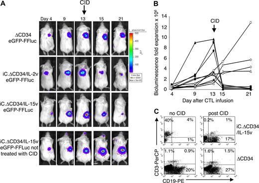 Figure 7. Activation of the iCasp-9 suicide gene eliminates the IL-2 and IL-15 transgenic CTLs in vivo. SCID mice engrafted subcutaneously with LCLs were injected intravenously with EBV-CTLs transduced with either iC.ΔCD34/IL-2v or iC.ΔCD34/IL-15v vector, sorted for ΔCD34 expression, and transduced with eGFP-FFLuc vector. When the CTLs were expanding, mice were treated with 2 to 3 doses of the CID AP20187 (50 μg) intraperitoneally 2 days apart. The persistence of the transgenic cells was monitored in vivo using the bioluminescence system. Panel A illustrates in a representative experiment the reduction of the bioluminescence after CID administration. Bioluminescence was significantly reduced in mice receiving IL-2 or IL-15 transgenic CTLs after treatment with CID. In contrast, the signal was not diminished in mice receiving control ΔCD34+ CTLs lacking the expression of the suicide gene. The bioluminescence continued to increase in mice receiving IL-15 transgenic CTLs nontreated with CID. Panel B shows the kinetics of bioluminescence in 7 mice (closed symbols) before and after treatment with CID. In mice receiving EBV-CTLs expressing either iC.ΔCD34/IL-2v or iC.ΔCD34/IL-15v followed by the CID greater than 1 log reduction in bioluminescence was observed. In contrast, bioluminescence continued to increase in mice nontreated with CID (4 representative mice, open symbols). (C) Mice showing > 106 photons were euthanized to evaluate the infiltrate of CTLs within the tumor by FACS analysis after staining with antihuman CD3 antibody (top left panel). Mice with similar level of bioluminescence signal were treated with CID and 24 to 72 hours later euthanized to evaluate the effective reduction of CTL infiltration by FACS analysis after staining with antihuman CD3 antibody (top right panel). CID did not reduce the number of CD3+ cells in mice receiving control CTLs transduced with ΔCD34v vector (bottom left and right).