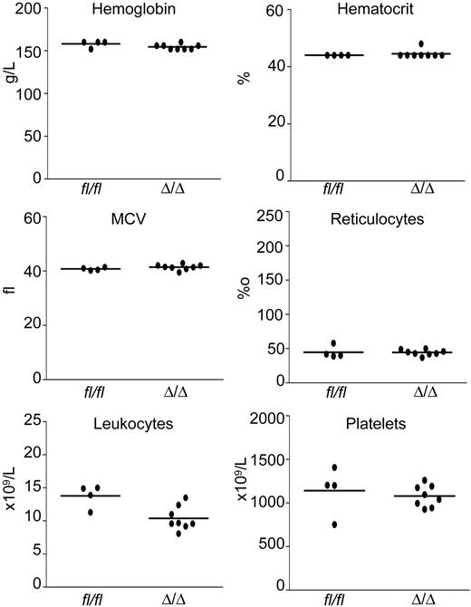 Figure 2. Transplantation of Smad4Δ/Δ bone marrow cells into wild-type recipient mice did not lead to the development of anemia. Hemoglobin level, hematocrit, MCV, reticulocyte count, leukocyte count, and platelet count remained stable in the control and experimental groups. Eight recipients of Smad4Δ/Δ bone marrow cells and 4 recipients of Smad4fl/fl controls were analyzed 8 weeks after transplantation. Dots represent the values of individual mice; horizontal lines indicate the mean.