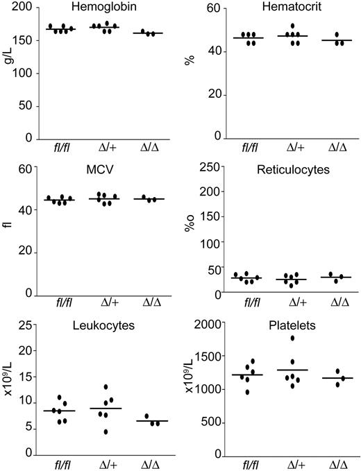 Figure 3. Absence of anemia in VavCre;Smad4fl/fl mice. Peripheral blood parameters were determined in 10-week-old mice. VavCre;Smad4fl/fl (Δ/Δ), VavCre;Smad4fl/+ (Δ/+), and Smad4fl/fl (fl/fl). Dots represent the values of individual mice; horizontal lines indicate the mean.