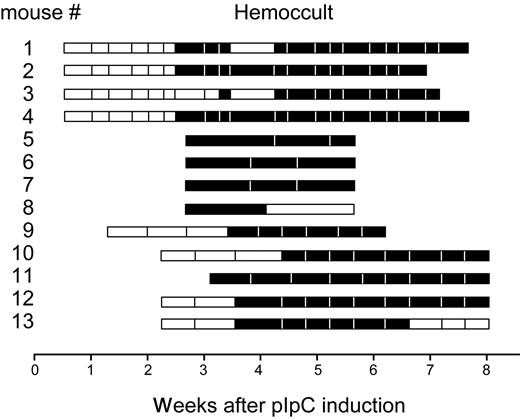 Figure 7. Fecal occult blood test in Smad4Δ/Δ mice. A total of 13 mice were analyzed (numbered in y-axis). Time in weeks after first pIpC injection is shown on the x-axis. Horizontal bars represent the duration of the stool collection; □, negative hemoccult tests; and ■, positive hemoccult tests.