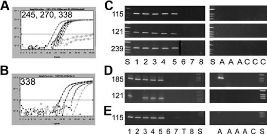 Figure 1. Highly specific and sensitive detection of leukemia- and clone-specific genetic targets. Numbers and initials refer to the respective patient identification in Table 1. (A) Typical examples of an albumin RQ-PCR from Guthrie card DNA indicating the range of variability (translating to approximately 100 to 1000 cells per sample). External DNA standard at dilutions 100 ng, 10 ng, and 1 ng are in gray; Guthrie card DNA, black. (B) Representative example for quantification of the preleukemic/leukemic clone by allele-specific RQ-PCR of TCR rearrangements. Curves represent 10-log dilutions of leukemic DNA into PB starting from 10-2 to 10-5 in duplicates depicted in different shades of gray. Background amplification is shown by light gray dotted lines; no specific signal from Guthrie card DNA is detectable. (C-E) Detection of TAL1 deletions (C), TCRD-LMO2 breakpoint regions, (D) and Notch1 mutation (E) by a nested PCR approach. (C) Polyacrylamide gels showing second-round PCR products of TAL1 deletions; S, size marker; lanes 1 to 6, 10-log dilutions of leukemic DNA in PB from 10-1 to 10-6; lane 7, PB DNA; lane 8, no DNA; A, aliquots of Guthrie card DNA from the particular patient; C, control Guthrie cards. A vertical line has been inserted to indicate where a gel lane was cut. These gels came from the same experiments. (D,E) Polyacrylamide gel electrophoresis of second-round PCR products of TCRD-LMO2 breakpoints (D) and Notch1 mutation (E); lane 1, 10-4 dilutions of leukemic DNA in PB; lanes 2 to 5, 10-5 dilutions; lane 6, 10-6 dilution; lane 7, PB DNA; lane 8, no DNA; A and C, as before; T, thymus DNA.
