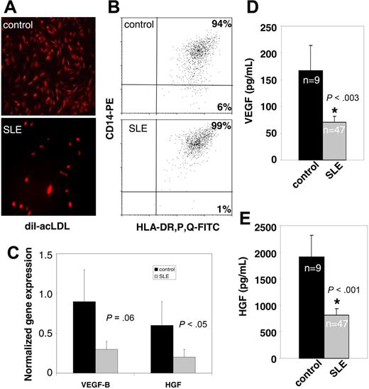 Figure 3. EC monolayer phenotype in SLE and controls. (A) No differences in acetylated-LDL uptake were detected between SLE and controls, although there were significantly fewer cells in SLE cultures at day 15 (× 10 objective magnification). See “In vitro differentiation into mature ECs” for more image acquisition information. (B) Day 15 EC monolayers were analyzed for expression of HLA-DP, -R, and -Q and CD14. Dot plots display a representative healthy control and lupus patient. MHC class II and CD14 expression is consistent with CD14-derived CACs and did not differ between SLE and controls. (C) mRNA expression of proangiogenic factors on day 15 ECs from controls or SLE, normalized to GAPDH. HGF and VEGF-B expression was lower in lupus patients (1-tailed t test, P < .05 for HGF and P = .06 for VEGF-B). Results are mean (± SEM) of 8 patients and 4 controls. (D-E) Proangiogenic molecules are decreased in lupus sera. Results represent mean (± SEM) of 9 controls and 47 SLE patients.