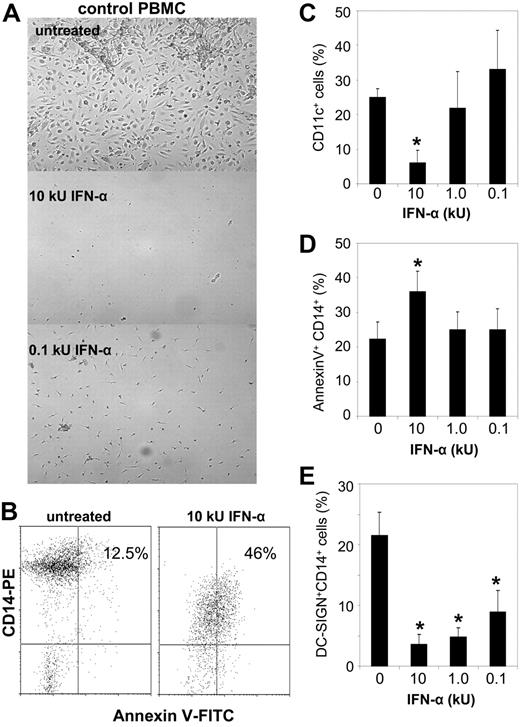 Figure 5. IFN-α treatment prevents EC monolayer formation in healthy controls. (A) Control PBMCs were plated on fibronectin-coated wells with complete EC media in the presence or absence of graded concentrations of recombinant IFN-α. At day 15, EC monolayer formation was assessed. Images are from experiments from 4 representative controls. Similar results were seen in 4 SLE patients using similar concentrations of IFN-α. Magnifications are × 10. See “In vitro differentiation into mature ECs” for more image acquisition information. (B-E) IFN-α induces CAC apoptosis and skewing toward other myeloid cell subsets. Representative dot plots display percentage apoptotic CD14+ CACs in untreated and IFN-α–treated cells. Graphs represent mean (± SEM) percentage expression of myeloid subsets on the EC monolayer of 5 controls after IFN-α treatment. * indicates P < .05.