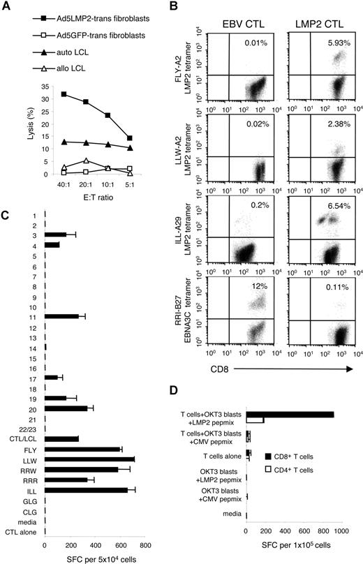 Figure 1. LMP2-specific CTL lines derived from lymphoma patients contained functional LMP2-specific T-cell populations. This figure shows the LMP2-specific activity in a CTL line generated from a patient with relapsed lymphoma. The patient is representative of the 10 patients whose CTL lines recognized LMP2. To demonstrate cytolytic specificity of patient CTL lines in vitro, percentage specific 51Cr release was determined 6 hours after coincubation with HLA-matched fibroblasts transduced with Ad5LMP2 (■), or Ad5GFP (□), autologous LCLs (▴), and allogeneic LCLs (▵). The LMP2-specific CTL line from a representative patient shown in panel B showed killing of autologous LCLs and HLA-matched fibroblasts only if they were transduced with Ad5LMP2 (30% at an E/T ratio of 20:1). Killing was not due to adenovirus-directed CTLs, since fibroblasts infected with recombinant adenovirus encoding GFP were not recognized. There was no killing of HLA-mismatched LCLs, (A) or nontransduced fibroblasts (data not shown). Panel B shows the frequency of LMP2-specific T cells in the CTL line generated from the same patient (HLA A2;29/B13;27). CTLs were costained with PE-conjugated multimers CD8-FITC and CD3-PerCP. Multimers were as follows: LMP2-HLA-A*0201-LLW, HLA-A*0201-FLYALALLL, HLA A29-ILL, and EBNA 3C-HLA-B27-RRI. When compared with the EBV-LCL–activated CTL line, the LMP2-activated CTL line showed an increase in the frequency of T cells reactive with all 3 LMP2 tetramers, but decreased frequency in the EBNA3C tetramer reactivity (B). To assess the breadth and function of the LMP2-specific response, the CTLs were coincubated with overlapping LMP2 peptides and IFN-γ release in response to specific 15-mer and 8-mer peptides was measured in an ELISPOT assay. (C) This patient's polyclonal CTL line was then sorted for CD4+ and CD8+ T cells. Subsequently, recognition of LMP2 by these separated CD4+ and CD8+ T cells was determined in an IFN-γ ELISPOT assay using OKT3 blasts pulsed with either LMP2pepmix or CMVpepmix as the APCs (D). Error bars are SD.