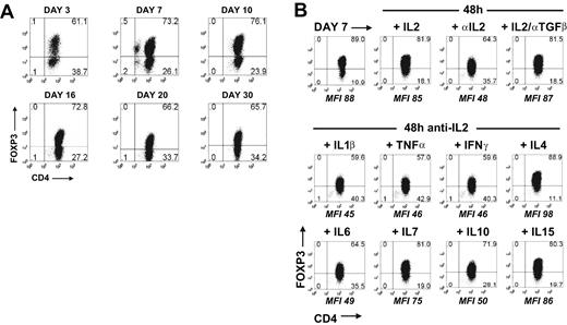 Figure 4. TGFβ-induced FOXP3 expression was stable and requires IL-2 or other common γ cytokines for maintenance. (A) Flow cytometric analyses of FOXP3 with 259D on TGFβ-treated CD45RA+ cells over a 30-day period in the presence of IL-2. (B) FOXP3 expression on TGFβ-treated CD45RA+ cells at day 7 and 48 hours later after cultured with IL-2 with or without anti-TGFβ or with neutralizing anti-IL2 mAb with or without IL-1β, TNFα, IFNγ, IL-4, IL-6, IL-7, IL-10, or IL-15. The MFI values are derived from the gating of the FOXP3+ population. Data above are representative of 3 independent experiments. Numbers in each quadrant as in Figure 1.