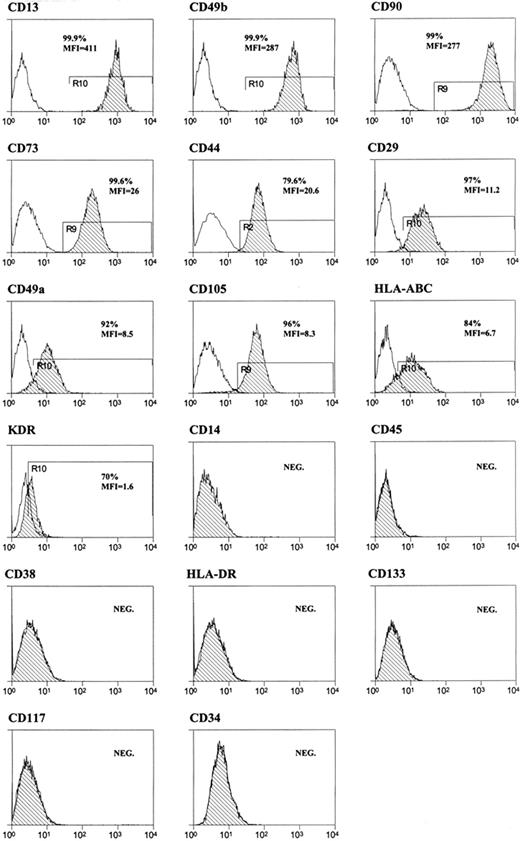 Figure 1. FACS analysis of hMASCs. Representative flow cytometry histograms of multipotent cell populations. Plots show isotype control IgG-staining profile (open histogram) versus specific antibody staining profile (dash histogram). All the tested cell lines displayed a similar immunophenotype, being on an average (1) the cell fraction highly expressing CD13, CD49b, or CD90: 97% (± 7%), 84% (± 14%), and 79% (± 20%), respectively, and (2) the cell fraction expressing low levels of CD73, CD44, HLA-ABC, CD29, CD105, KDR, or CD49a: 93% (± 10%), 91% (± 17%), 85% (± 6%), 79% (± 15%), 75% (± 16%), 72% (± 14%), and 70% (± 9%), respectively. The vast majority of the cell population (> 99%) was, instead, negative for CD14, CD45, CD38, HLA-DR, CD133, CD117, and CD34.
