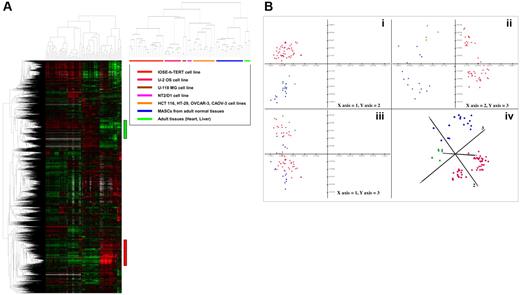Figure 7. hMASC gene expression profile. (A) Left panel shows the unsupervised hierarchical clustering analysis for the 14 902 features of the filtered expression matrix (FEM1). hMASCs derived from the 3 different organs are characterized by the expression of a unique set of genes or transcriptional module (red vertical bar), characterized by genes up-regulated in hMASCs with respect to the profiled somatic cell lines and adult tissues. Green vertical bar highlights the existence of an opposite gene module characterized by genes down-regulated in hMASCs with respect to the profiled somatic cell lines. Right panel schematizes the sample arrangement with respect to the dendrogram. (B) Principal component analysis (PCA) of log-transformed data starting from filtered FEM1 matrix (14 902 features). In panels Bi-iii, the first 3 principal components are plotted in pairs, while in panel Biv the first 3 principal components are plotted in 3D view. The emerging sample groups confirmed that the 3 hMASC types (blue dots) constitute a homogeneous cell population, irrespective of their tissue of origin and distinct from that of somatic cell lines (red dots) and adult tissues (green dots).