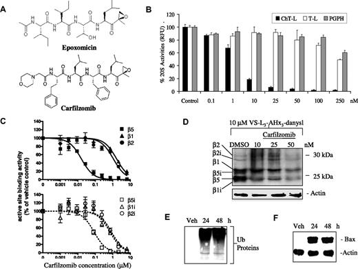 Figure 1. Inhibition of the proteasome by carfilzomib. (A) Structures of epoxomicin (top) and carfilzomib (bottom) are shown. (B) Quantitative representation of the in vitro inhibition of the 20S proteasome catalytic activities in ANBL-6 cellular lysates (10 μg per reaction) in the absence or presence of carfilzomib with fluorogenic peptide substrates for the proteasomal ChT-L, PGPH, and T-L activity, as indicated, followed by the measurement of free AMC groups is shown. (C) In cellulo measurement using ELISA techniques of the 20S proteasome subunit targets of carfilzomib in cell extracts from ANBL-6 cells pulse treated for 1 hour with carfilzomib is shown. Error bars in panels B and C are SD. (D) Competitive binding experiment in ANBL-6 cells between carfilzomib (5-hour pretreatment) followed by VS-L3-AHx3-danysl (2 hours) determined the in cellulo specificity of carfilzomib to individual proteasome catalytic subunits. (E,F) Shown is Western blot analysis of the accumulation of ubiquitinated (Ub) substrates (E) and proapoptotic Bax (F) after 1-hour pulse exposure to carfilzomib (100 nM) in RPMI 8226 cells, followed by 24- and 48-hour recovery times. Actin was used as a loading control. Veh indicates vehicle.