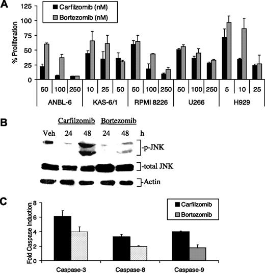 Figure 4. Activity of carfilzomib and bortezomib against myeloma models. (A) Several MM cell lines were treated with a 1-hour pulse of increasing concentrations of carfilzomib or bortezomib. After 24 hours, the number of live cells was determined with a WST-1 assay. (B) Activation of the stress response in RPMI 8226 cells pulse treated for 1 hour with proteasome inhibitors and allowed to recover for the indicated time points is shown. Protein expression levels of activated JNK were examined after treatment with carfilzomib or bortezomib. (C) ANBL-6 cells were exposed to a 1-hour pulse of 100 nM carfilzomib or bortezomib and allowed to recover for 8 hours. Cellular lysates (30 μg per reaction) were then incubated with 40-μM fluorogenic substrates specific for caspase-3, caspase-8, and caspase-9 activity. Results are expressed as fold relative fluorescence units over DMSO control and determined as described in Figure 1. Error bars for panels A and C are SD.