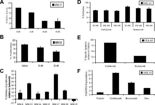 Figure 5. Activity of carfilzomib and bortezomib in patient samples. (A) Purified plasma cells were continuously treated with increasing doses of carfilzomib for 24 hours. Cells were then lysed, and the ChT-L activity was determined (10 μg per reaction). (B) CD138+ cells were treated with continuous exposure to the indicated concentrations of carfilzomib, followed by a WST-1 cell viability assay. (C) Purified plasma cells were pulse-treated with 100 nM carfilzomib or bortezomib, followed by recovery in drug-free media for 24 hours. WST-1 was used to assess proliferation. Several of the samples are from patients with chromosome 13 deletions (MM-13, MM-15, MM-17, MM-20, and MM-23). Results are expressed as the percentage (%) inhibition of proliferation of carfilzomib-treated cells relative to bortezomib-treated cells, which were set at 0, with a positive result indicating the amount of enhanced antiproliferative activity of carfilzomib over that of bortezomib. (D) Pulse carfilzomib and bortezomib exposure in an NHL patient sample and determination of antiproliferation activity by WST-1 assay is shown. (E) Flow cytometric analysis of carfilzomib-induced versus bortezomib-induced specific apoptosis in patient-derived CD19+ CLL B-cells is shown. Patient cells were pulsed (100 nM) for 1 hour with the indicated drug and allowed to recover for 24 hours. Apoptosis was assessed in cells stained with Annexin V/TO-PRO-3/anti-CD19. Specific apoptosis is shown in the CD19+ gated population relative to vehicle controls. (F) AML cells from a patient with progressive disease after multiple chemotherapeutic treatments were pulsed for 1 hour with 100 nM carfilzomib or bortezomib or continuously treated with 1 μM Dox. Apoptosis was measured by DNA fragmentation ELISA and expressed as fold induction over DMSO control in CD33+cells purified from peripheral blood mononuclear cells (PBMCs). Error bars in panels A,B,C,D, and F are SD.