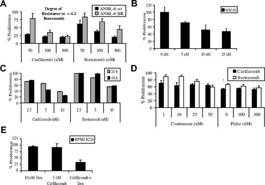 Figure 6. Carfilzomib and chemotherapeutic resistance. (A) ANBL-6.BR cells, and their wt counterparts, were pulsed with carfilzomib for 1 hour, and proliferation was assessed using the WST-1 reagent after a 24-hour recovery period. The DOR to bortezomib was computed by comparing the IC50 of bortezomib-sensitive and BR cells. (B) CD138+ cells from a MM patient with a chromosome 13 deletion who did not have a clinical response to bortezomib were treated with continuous exposure to the indicated concentrations of carfilzomib or bortezomib for 24 hours in triplicate, followed by measurement of proliferation with the WST-1 assay. (C) CD138+ cells from a MM patient who progressed while on bortezomib treatment were exposed to increasing concentrations of carfilzomib or bortezomib for 24 hours before assessment for cellular proliferation. (D) CD138+ plasma cells from a patient who progressed on bortezomib were exposed to continuous and pulse treatments with equivalent concentrations of carfilzomib and bortezomib, followed by a WST-1 cellular proliferation assay. (E) RPMI 8226 cells were treated continuously with 5 nM carfilzomib and 10 μM Dex for 48 hours to determine the effect of this combined therapy against cellular proliferation. Error bars are SD.