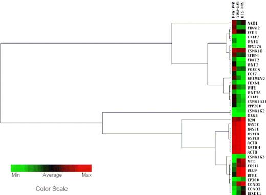 Figure 3. LTCC with bone marrow stromal cells promotes self-renewal activity of Ph+/VE-cadherin+ leukemic cells independent of the Wnt/β-catenin signaling pathway. Clustering analysis of gene expression profiles in Sup-B15 cells after LTCC with S10 or PatX stromal cells. The hierarchical clusters were created with GEASuite software based on the similarity of gene expression. The green color at the farthest left end of the color scale corresponds to the minimal value; the red color at the farthest right end of the color scale corresponds to the maximum value, black corresponds to the average value of expression. BAS2C, HSPCB, ACTB, and GAPDH served as housekeeping gene controls. Analysis of the representative Wnt pathway is shown.