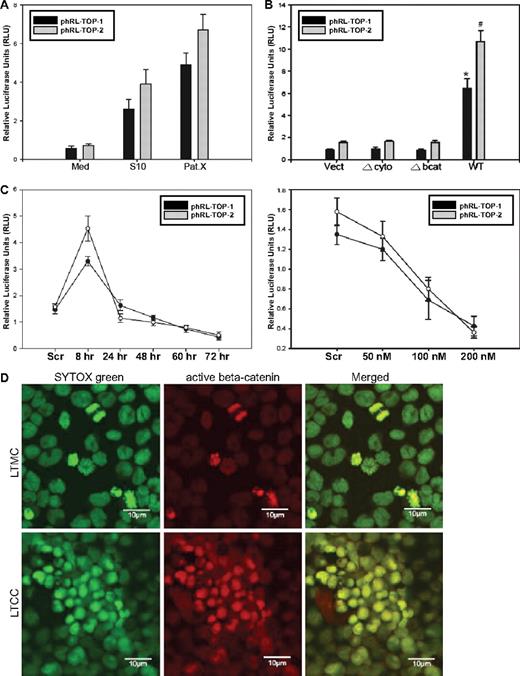 Figure 5. β-Catenin is constitutively activated in leukemic stem-like cells overexpressing VE-cadherin during LTCC. (A) Dual-luciferase reporter (DLR) assays of Sup-B15 LTMC (Med) or LTCC cells (S10 or PatX) transiently cotransfected with phRL-TOP1 or phRL-TOP2 Renilla luciferase reporters with an internal control pGL4.13-CMV-Luc2 firefly luciferase reporter. Experimental Renilla luciferase activity was normalized to that of control firefly luciferase and is shown as relative luciferase units (RLUs). Data were presented as mean plus or minus SD (n = 3). (B) DLR assays of cell lysates from Sup-B15 cells transduced with wild-type or the 2 truncated forms of VE-cadherin. Data were presented as mean plus or minus SD (n = 3). The * denotes significant differences compared with Vect controls (P < .01) based on the Student t test. (C) Sup-B15 cells transfected with 100 nM VE-cadherin siRNA for 8 to 72 hours (top) or at a concentration of 50 to 200 nM for 24 hours (bottom). Data are shown as the mean plus or minus SD (n = 3). (D) Confocal micrographs of LTMC or LTCC Sup-B15 cells stained with anti-active β-catenin antibody and were acquired using a 63×/1.2 water C-Apochromat objective. Cell nuclei were counterstained with SYTOX Green. The photograph of LTMC was made from cytospin preparation, and the photograph of LTCC Sup-B15 cells was taken from a portion of 1 hematopoietic cord.