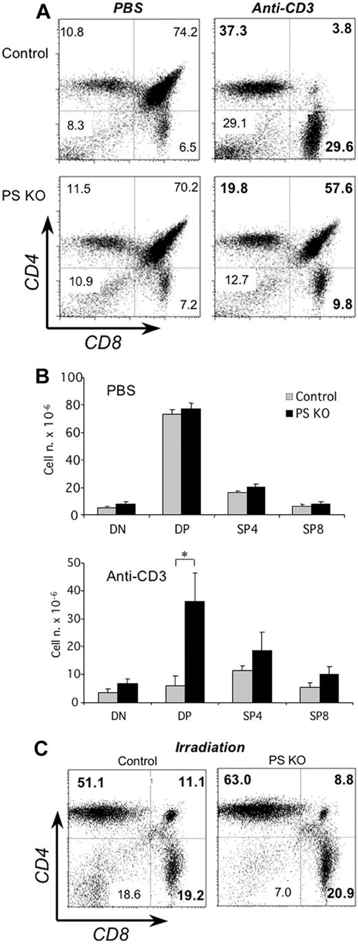 Figure 2. In vivo treatment with anti-CD3 mAb and resistance against apoptosis of PS KO thymocytes. Control (A, top panels; C, left panel) or PS KO thymocytes (A, bottom panels; C, right panel) were obtained 40 hours after intraperitoneal injection of PBS or 50 μg/mouse anti-CD3 mAb. Total thymocyte numbers were counted and cell numbers for DN, DP, SP4, or SP8 cells estimated by percentages of FACS analysis with anti-CD4 and anti-CD8 fluorescent mAb (B). The γ-irradiation dose was 5Gy. *P < .05. Representative of 5 animals. (A,C) Value in each quadrant represents the percentage of each cell population inside the thymus.