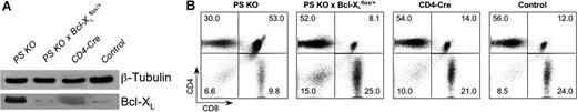 Figure 4. Bcl-XL expression and DP apoptosis in PS KO × Bcl-XLflox/+ animals. Thymocytes from PS KO, PS KO × Bcl-XLflox/+, CD4-Cre, or control animals were harvested, protein were extracts collected, and Bcl-XL level was measured by WB (A). Some animals from these same groups were treated intraperitoneally with anti-CD3, thymocytes were harvested 40 hours later, and the percentage of DP or SP thymocytes was measured by FACS (B). Each graphic is representative of 1 animal of 3 evaluated. (B) Value in each quadrant represents the percentage of each cell population inside the thymus.