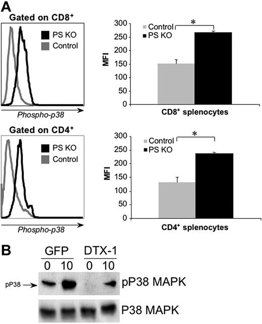 Figure 7. Phospho-p38 expression in PS KO T cells and in TK1 cells transfected with Dtx-1. Splenocytes from control or PS KO animals were harvested and labeled with FITC anti–phospho-p38 mAb in the presence of sodium orthovanadate (A). To check the effect of deltex-1 expression over p38 activation in thymocytes, TK1 cells were transfected with pMIGR-DELTEX1 vector containing this gene or empty vector. Than, stable TK1 cell lines were sorted by GFP expression and stimulated (or not) for 10 minutes with anti-CD3 before protein extraction (B). Results are representative of 3 animals (A); one experiment representative of three (B).