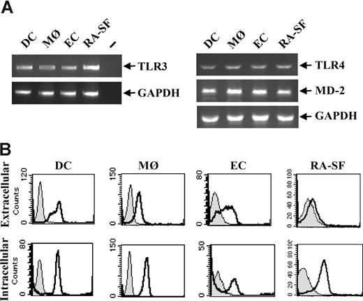 Figure 1. TLR3 is expressed on all cell types used in this study. Human DCs were generated from peripheral blood monocytes after 5- to 7-day culture in the presence of 10 ng/mL IL-4 and 50 ng/mL GM-CSF. MØs were differentiated from peripheral blood monocytes for 3 to 4 days in the presence of 100 ng/mL M-CSF. ECs were isolated from human umbilical veins and were used at passages 2 to 3. Fibroblasts were isolated from synovial tissue from RA patients undergoing joint replacement. (A) Total RNA was isolated from each cell type and 1 μg was subjected to reverse transcriptase-PCR and analyzed for TLR3, TLR4, MD-2, or GAPDH expression with PCR. − indicates PCR-negative control. (B) DCs, MØs, ECs, and RA-SFs were analyzed for both intracellular and membrane-bound TLR3 by flow cytometry. Cells stained with isotype control (filled histograms) or anti–TLR3-FITC antibody (open black histograms) are shown.