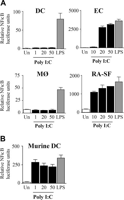 Figure 4. Poly I:C stimulation induces activation of NFκB in endothelial cells and RA synovial fibroblasts but not in dendritic cells and macrophages. (A) Human DCs, MØs, ECs, RA-SFs, and (B) murine DCs were infected for 1 hour with an adenovirus carrying an NFκB luciferase reporter gene. The cells were stimulated for 6 hours with 100 ng/mL LPS or poly I:C (in μg/mL) as indicated and then analyzed for luciferase activity. The data are mean values (± SD) from triplicates and are representative of at least 3 experiments using cells of different donors.