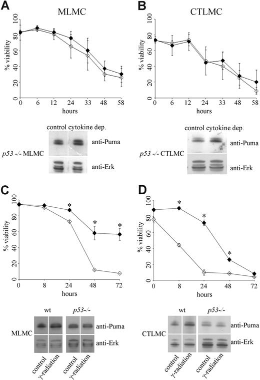 Figure 5. Mast-cell apoptosis following cytokine deprivation is a p53-independent process. Survival of wt or p53−/− mast cells in the absence of cytokines or following 30 Gy γ-radiation was measured by staining with PI plus annexin V-FITC (A, top) cytokine-deprived MLMCs, where ◇ indicates wt and ◆, p53−/−. N = 4 and results are presented as mean (± SD). (A, bottom) Expression of Puma was determined by Western blotting of lysates from wt and p53−/− MLMCs following cytokine deprivation for 10 hours; the results shown are representative of at least 3 independent experiments. (B, top) Cytokine-deprived CTLMCs, where ◇ indicates wt and ◆, p53−/−. N = 4 and results are presented as mean (± SD). (B, bottom) Expression of Puma was determined by Western blotting of lysates from wt and p53−/− CTLMCs following cytokine deprivation for 10 hours; the results shown are representative of at least 3 independent experiments. (C, top) γ-irradiated MLMCs, where ◇ indicates wt and ◆, p53−/−. N = 4 and results are presented as mean (± SD). (C, bottom) Expression of Puma was determined by Western blotting of lysates from wt and p53−/− MLMCs following γ-radiation after 10 hours; the results shown are representative of at least 3 independent experiments. (D, top) γ-irradiated CTLMCs, where ◇ indicates wt and ◆, p53−/−. N = 4 and results are presented as mean (± SD). (D, bottom) Expression of Puma was determined by Western blotting of lysates from wt and p53−/− CTLMCs following γ-radiation after 10 hours; the results shown are representative of at least 3 independent experiments.