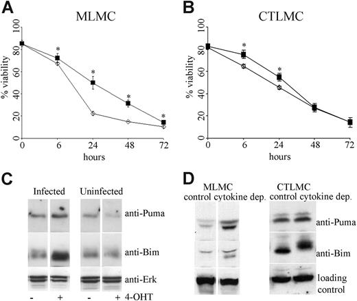 Figure 6. Regulation of cytokine deprivation–induced apoptosis in mast cells is FOXO3a dependent. Survival of wt or FOXO3a−/− mast cells in the absence of cytokines was measured by staining with PI plus annexin V-FITC. (A) MLMCs, where ◇ indicates wt and ■, FOXO3a−/−. (B) CTLMCs, where ◇ indicates wt and ■, FOXO3a−/−. N = 3-6 and results are presented as mean (± SD). (C) Expression of an inducible, dominant-active mutant of FOXO3 results in up-regulation of Puma and Bim. BMMCs were infected with a retrovirus encoding FOXO3(A3):ER and incubated with 4-hydroxy tamoxifen (4-OHT) (+) or left untreated (−) in the presence of SCF for 48 hours. The level of Puma or Bim was analyzed by Western blotting. As a control, uninfected cells were also treated with 4-OHT. Probing for Erk served as a loading control. (D) Expression of Puma and Bim was determined by Western blotting of lysates from FOXO3a−/− MLMCs and CTLMCs following cytokine deprivation for 10 hours. Probing for Hsp70 (left panel) or beta-Actin (right panel) served as a loading control. The results shown (C,D) are representative of at least 3 independent experiments.