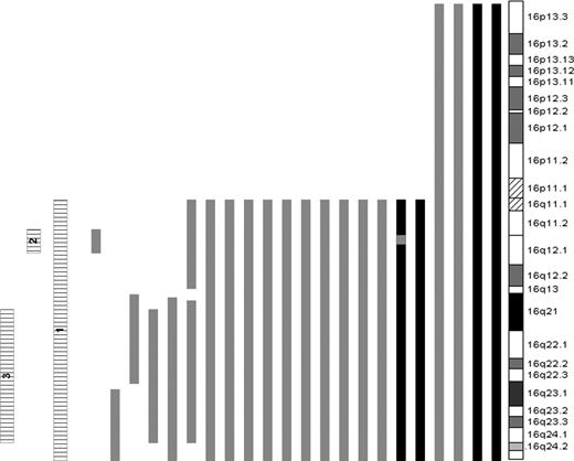 Figure 3. LOH of chromosome 16. Bars to the left of the ideogram indicate regions of LOH. LOH caused by deletion (▒); copy neutral LOH, UPD (■); and the 3 regions of LOH used to cluster samples (▤) are shown.