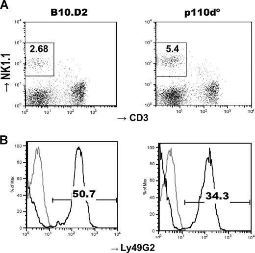 Figure 1. Reduced Ly49G2 expression in NK cells in p110δ-deficient mice. (A) Lymphocytes were gated by forward and side scatters on freshly explanted splenocytes and further gated on NK1.1+CD3− (boxes) for analysis of NK-cell receptor expression. The numbers within the quadrants represent percentages of NK cells. (B) Ly49G2 receptor expression on NK cells (dark lines). Gray lines represent isotype control staining. One representative of 4 mice per group is shown. The numbers above the brackets represent percentages of NK cells positive for Ly49G2.